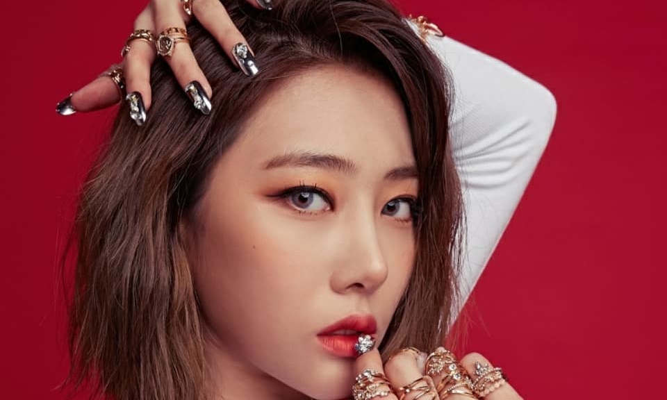 블랙스완(라니아), 혜미 논란에 법적 대응 준비…음악 방송 출연은 불발