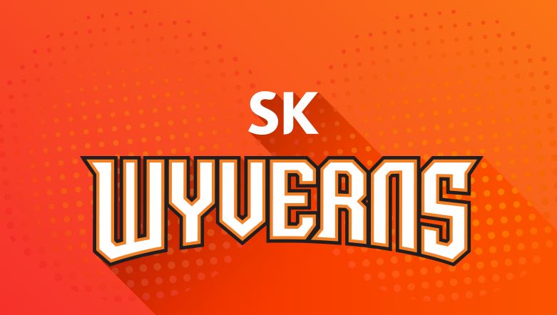 소중한 추억 신세계 이마트, SK와이번스 인수 소식에 입장 밝힌 SK텔레콤
