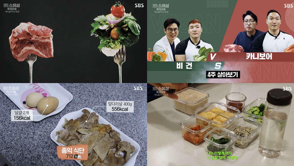 SBS 스페셜 육채전쟁, 비건VS 카니보어 쌍둥이 형제-의사의 4주 도전기