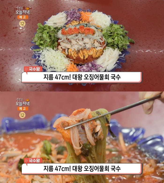 생방송오늘저녁-국수왕 하남 대왕 오징어물회 국수 맛집 위치는? 지름 47cm! 면 무한리필!