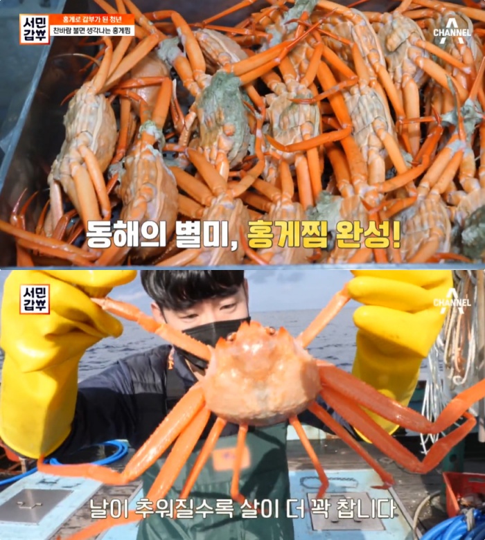 서민갑부 포항 홍게찜, 싱싱하게 집앞까지…서호진 씨의 선주 직송!