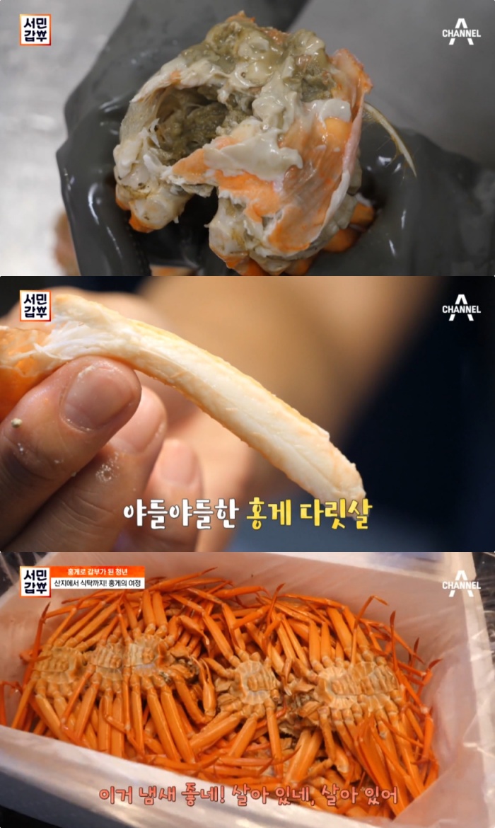 [종합] 서민갑부 서호진 포항 홍게찜 족발·통닭 시키느니, 게장에 밥도 비벼 먹고!