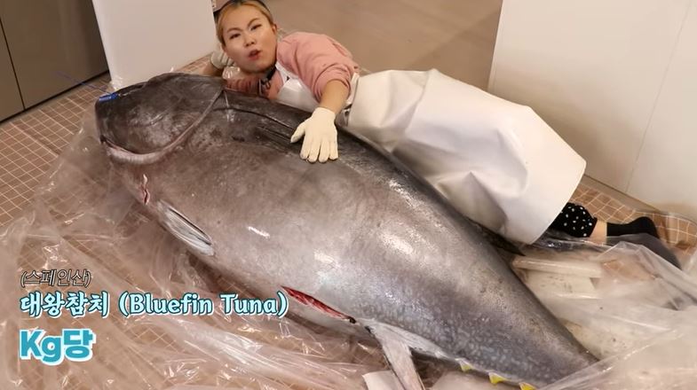 650만 원어치…유튜버 수빙수, 구독자 100만 달성→150kg 통참치 해체