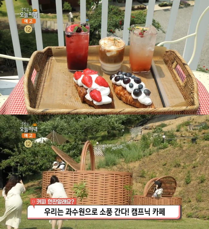 생방송오늘저녁 양평 두물머리 캠프닉 카페 위치는? 소풍 가자! 꽃밭-잔디밭-과수원-불멍 外