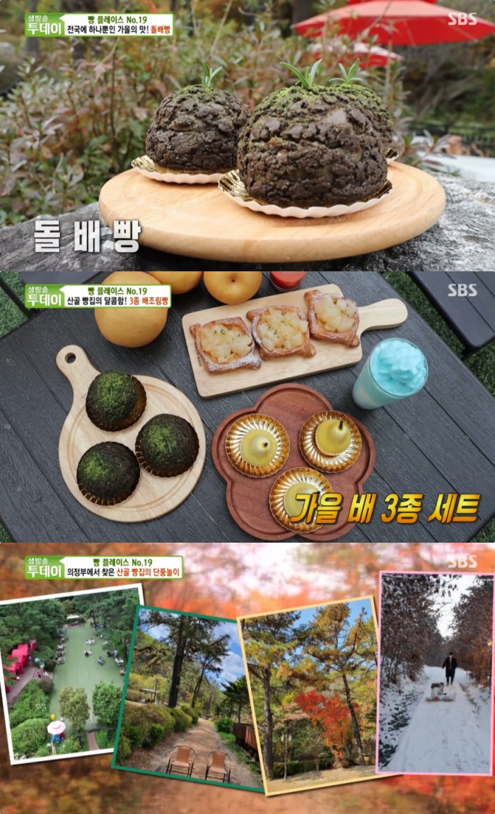 생방송오늘저녁 의정부 수락산 산골카페 위치는? 돌배빵-배무스-레어치즈데니쉬 맛집!