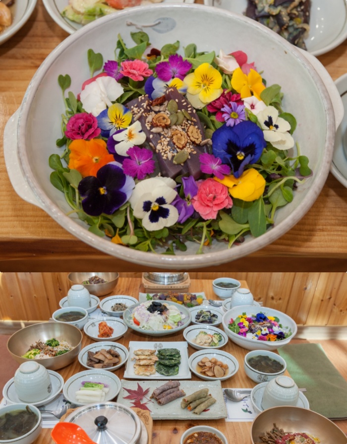 생생정보 제천 오색꽃비빔밥 맛집 위치는? 한방어복쟁반-생오디밥상 外