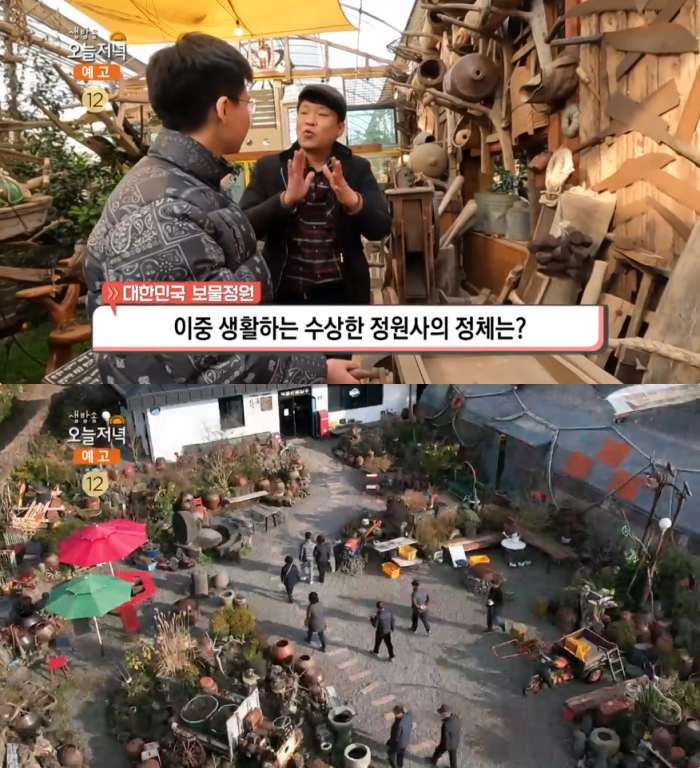 생방송오늘저녁 제주 서귀포 쇠소깍 빈티지 정원 위치는? 한라봉 농부의 관광농원
