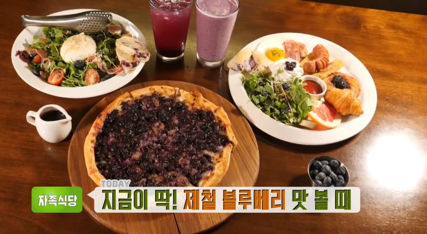 생방송투데이-자족식당 이천 블루베리피자 맛집 위치는? 지금이 딱 제철
