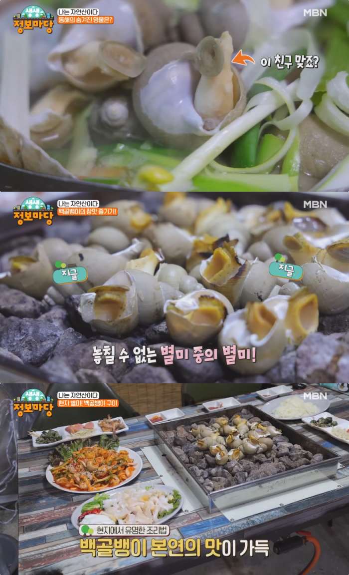생생정보마당 울진 자연산 골뱅이 맛집 위치는? 백골뱅이회·구이 & 골뱅이해물탕 [어제픽]