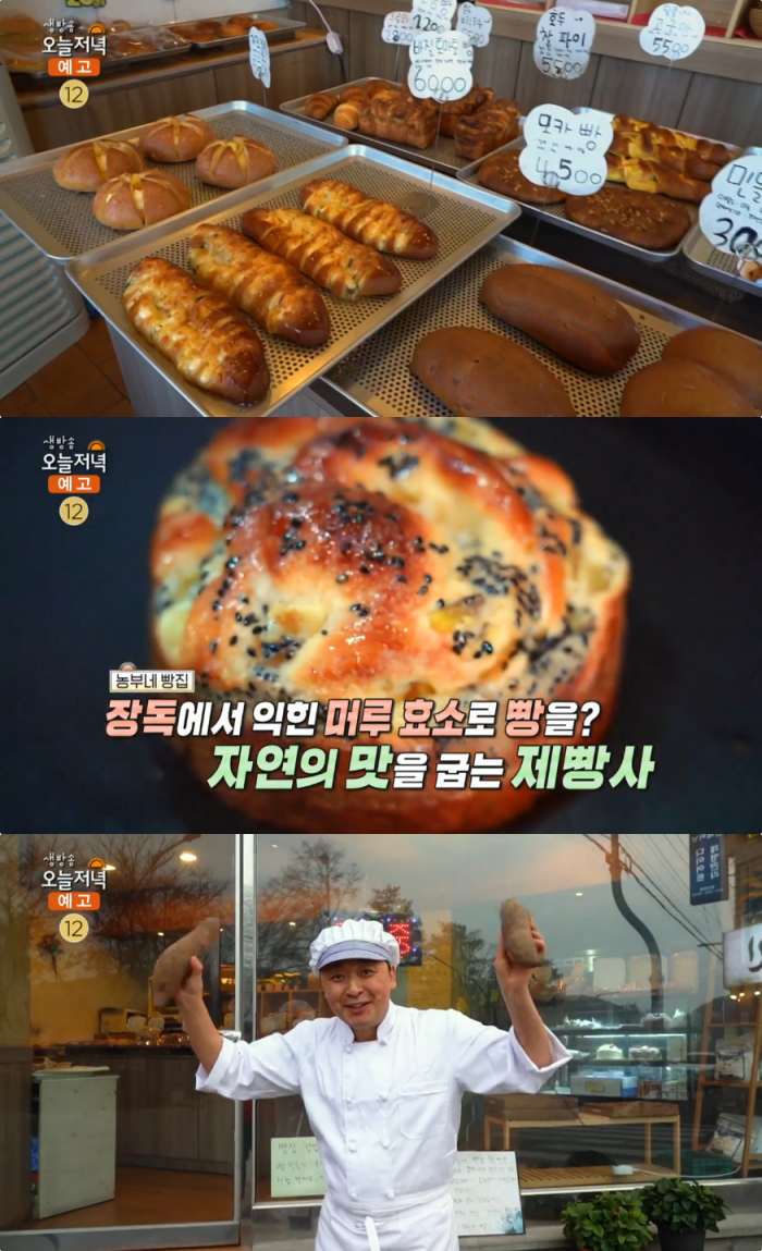 생방송오늘저녁 홍천 머루효소 빵 맛집 위치는? 자연의 맛 굽는 농부네 빵집