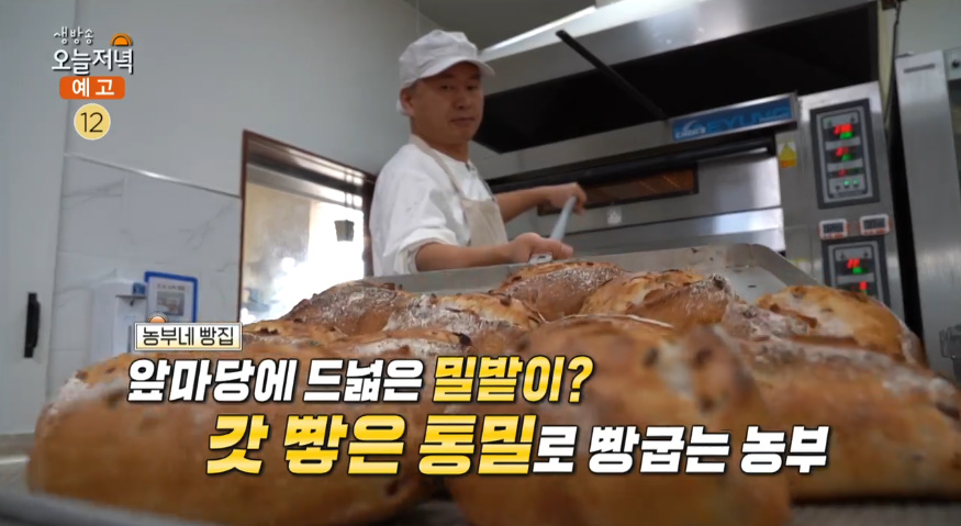 생방송오늘저녁 장흥 천연발효 유기농 빵 맛집 위치는? 빵지순례 명소 바게트-치아바타 外