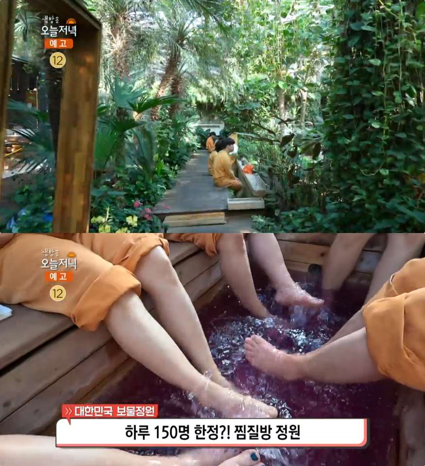생방송오늘저녁 양평 족욕탕 찜질방 정원 위치는? 하루 150명 한정