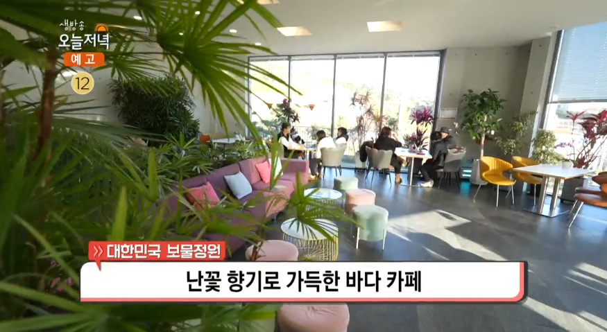 생방송오늘저녁 울산 울주 간절곶 오션뷰 카페 위치는? 난꽃 향기 가득