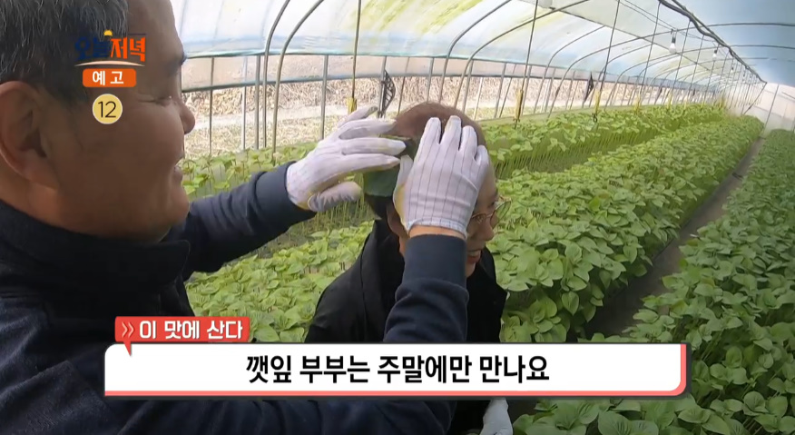 생방송오늘저녁 금산 사골깻잎떡국 맛집 위치는? 깻잎현미가래떡 만드는 떡집 겸 카페