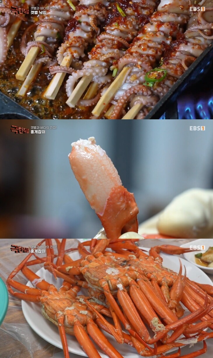 갯벌과 바다의 진미…극한직업 신안 압해도 낙지요리 & 속초 청초호 홍게요리 무한리필 맛집 위치는? [어제픽]