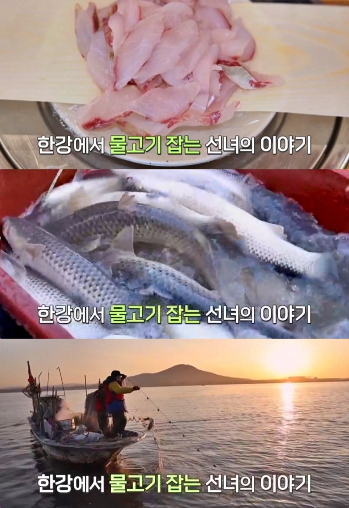 동네한바퀴 김포 전류리포구 숭어회 맛집 위치는? 인간극장 조선녀 씨의 횟집