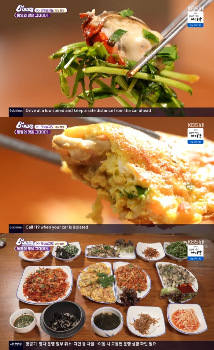 6시 내고향 통영 무전동 굴요리 맛집 위치는? 끝없는 매력, 굴의 무한 변신