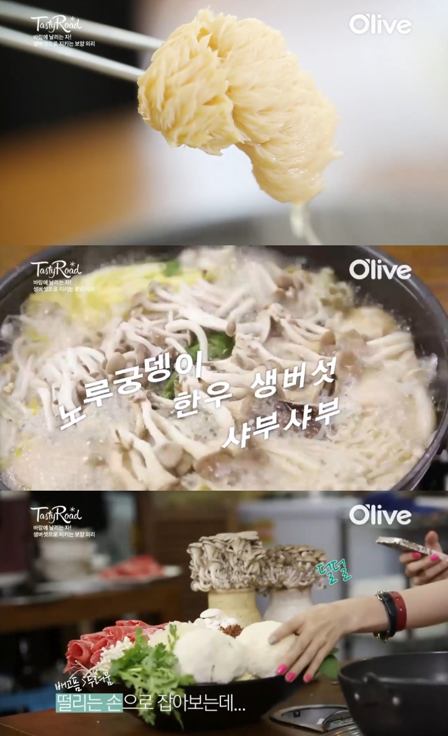 '생방송투데이' 서울 홍대 '8종 버섯 만찬 샤브샤브' 맛집 위치는? "대식가의 선택"