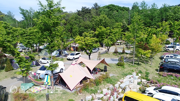 울산 중구 입화산 참살이 숲 야영장 전체 이용객 92% 만족