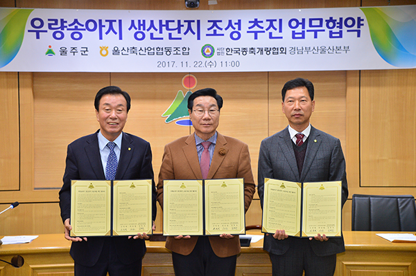 울산 울주군, 우량 송아지 생산단지 조성
