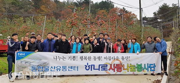 농협울산유통센터, 사과수확 일손돕기 진행