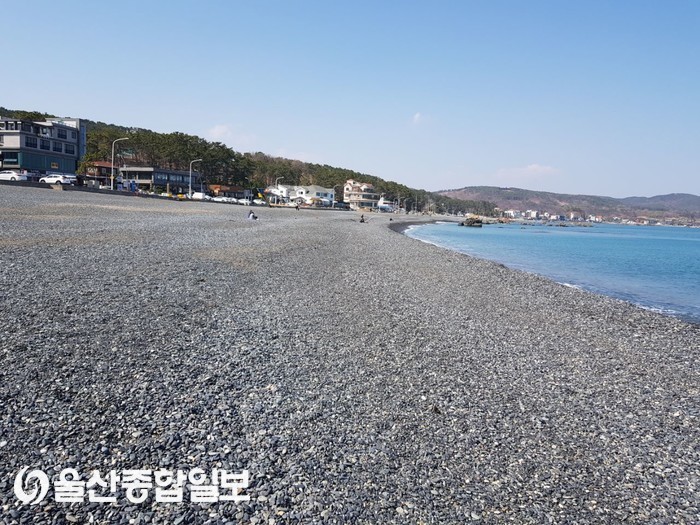 새봄과 함께 주전몽돌해변은 힐링의 최적지
