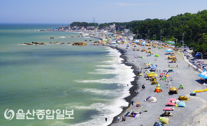 울산 동구, 여름 피서지 주전몽돌해변에 8만8천여 명 방문