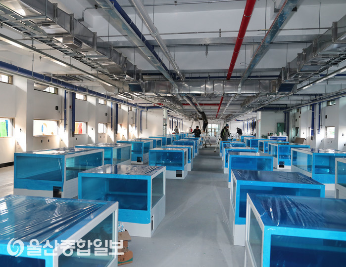 울산 북구 정자활어직매장, 12일 재개장