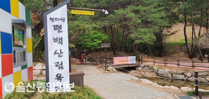 천마산 편백산림욕장