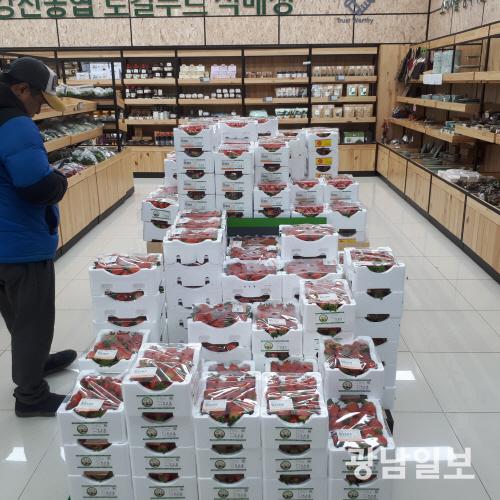 신선한 강진산 딸기 사세요