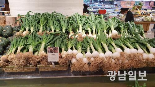 고흥 거금도 햇양파 ‘프리미엄 시장’ 진출