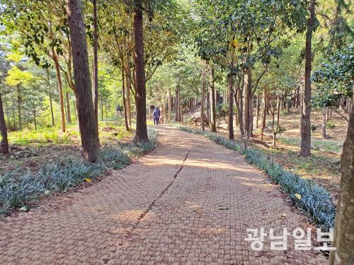 장흥군, 정남진 편백숲 우드랜드 봄맞이 새 단장