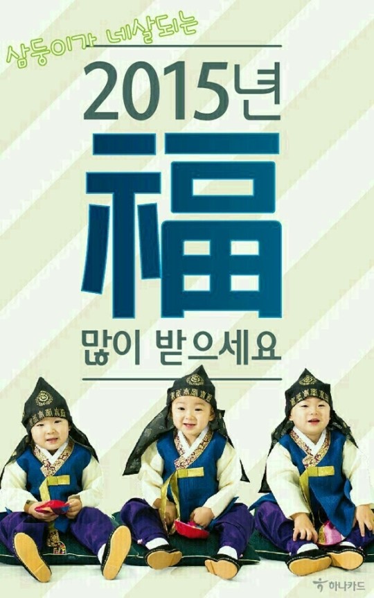 삼둥이 대한민국만세 애교 폭발 2015년 을미년 복 많이 받으세요