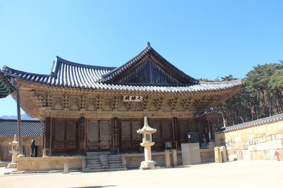 [주간한국] 통도사, 진분홍빛 홍매화가 봄노래를 부르더이다