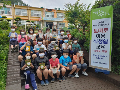 화순군, 토마토 사랑으로 시작한 어린이 농부 교육