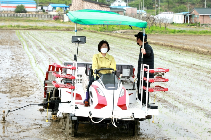 안성시 벼 드문모심기 시연회 가져