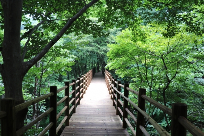 국립청도숲체원, 무장애나눔길 데크로드 개통