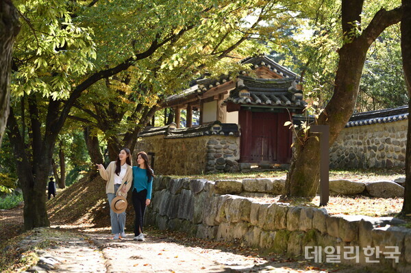 영주시, 소규모 여행객 유치 여행사 인센티브 지원