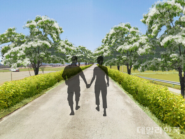 의성군, 명품 가로경관 조성 추진...나무 1125주 식재
