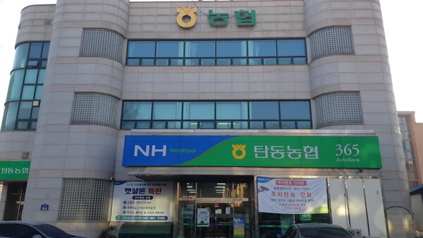 대전 탄동농협, 전 조합원 대상 단체상해보험 가입