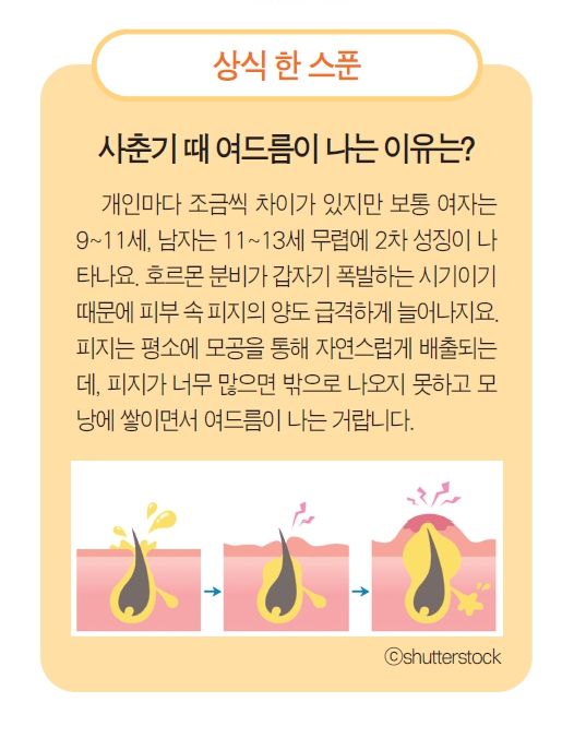 「NIE 논술」십대들의 피부를 깨끗하게 맑게 자신 있게