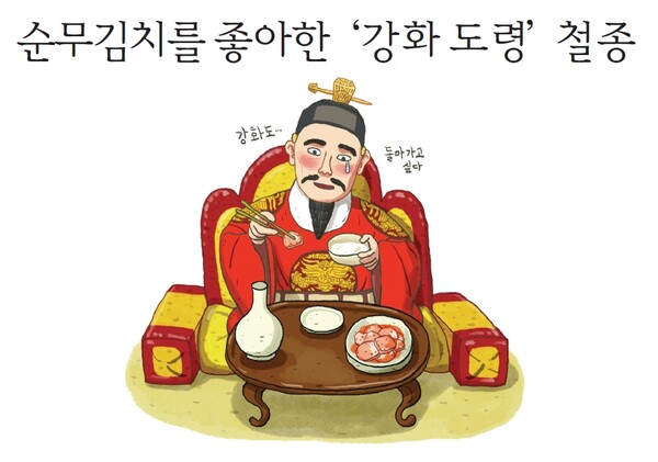「식물로 보는 한국사 이야기」순무김치를 좋아한 강화 도령 철종