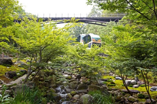 수도권 최고의 숲 곤지암 화담숲 21일 개장, 26일까지 반값할인