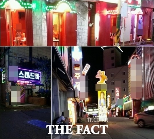 [TF 현장] 법망 교묘히 학교 주변 방석집·유흥업소 얼룩