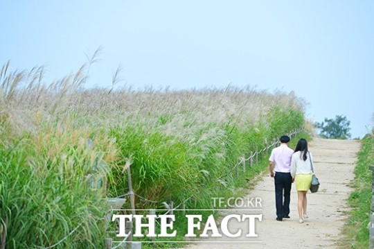 [TF포토] 연인과 함께 하는 가을 산책