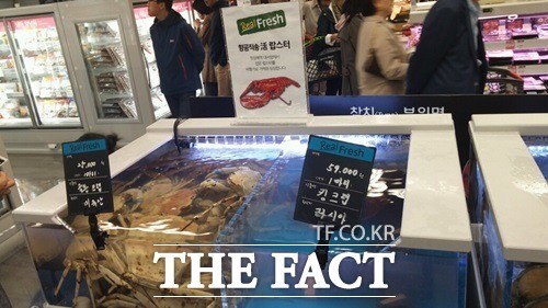 [TF현장] 제2롯데월드 롯데마트, 킹크랩 수족관 텅텅