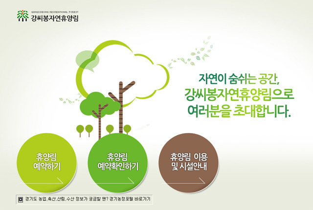 강씨봉 자연휴양림, 펜션-휴가지보다 싼 가격
