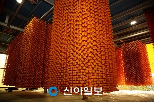 상주를 대한민국 농업도시 1번지로 만들겠다