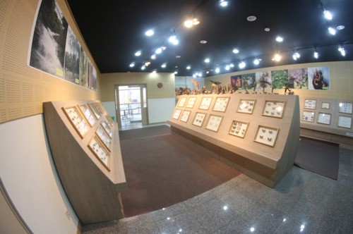 국립회문산자연휴양림