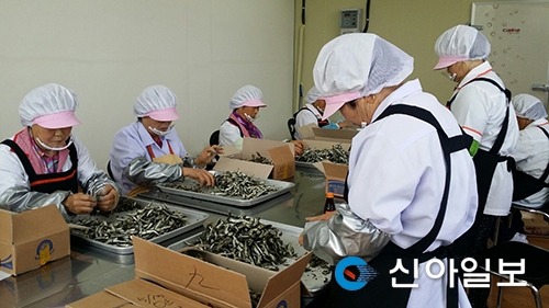 통영, 마른 멸치 손질 공동작업장 호응